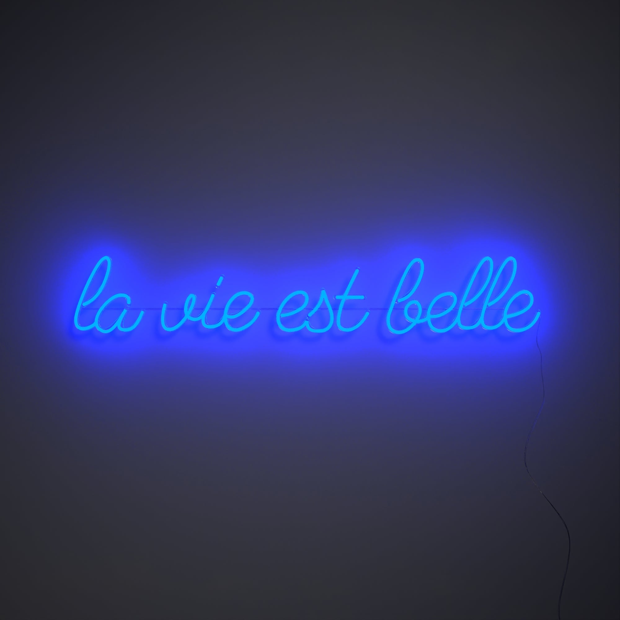 La vie est belle, signe en néon LED